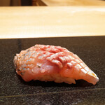 いちかわ - 黄金鯵