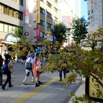 宮城野 - 下界に下り、世代間ギャップにひれ伏す