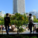 宮城野 - そして白昼のシンメトリックにドラマを観ちゃったりして