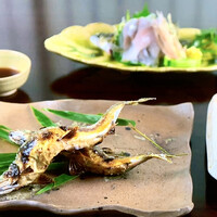 平野屋 -  平野屋 -