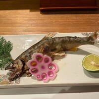 シーズン - 