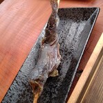 十割蕎麦と岩魚 やまだや - 