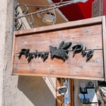 Flying pig - 