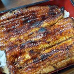 御食事処 スズキ - うな重