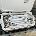 釣船の家 海蓮丸 - 名人の釣った太刀魚