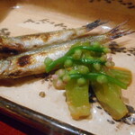 青蓮院門跡前 月おか - 琵琶湖天然もろこ