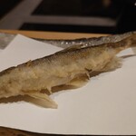 161365577 - 厚岸の樺太柳葉魚（雄）