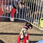 THE COFFEE STATION SAJIMA by まはろ庵 - 