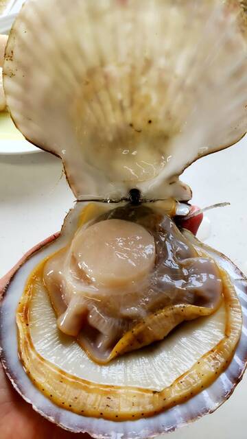 佐藤利商店 - 青森（その他）の写真