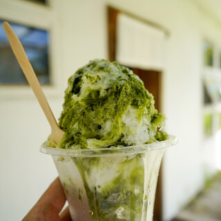 羊羊 YOYO AN FACTORY_1