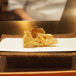 くすのき - 舞茸