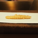 くすのき - 山牛蒡