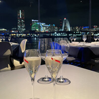 International cuisine subzero - 