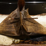 日本料理 晴山 - 