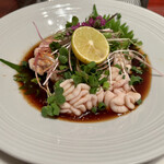 創作料理Ryota  - 