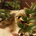 福松荘 - サザエのつぼ焼きダブル♪絶品絶品