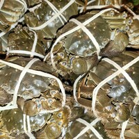 筑紫樓 銀座店 - 