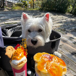 モリナガ スペシャルクレープ - 