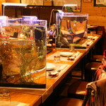Musashikosugi Wain Dokoro Sanguriya - 熱帯魚が泳ぐカウンターパーティション