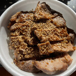 ぼんてん漁港 - 豚生姜丼。