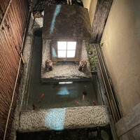 波濤 - 安定の金魚ちゃん♡