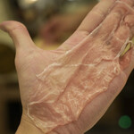 ペレグリーノ - 