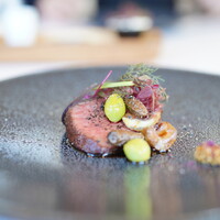 MAISON LAFITE - 