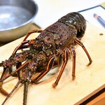 香炉 - 伊勢海老