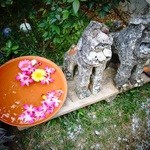 首里 ほりかわ - 入口がお洒落です