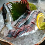 (live) horse mackerel