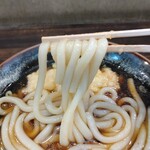ガリレオ 八兵衛 - ヤッパうどんで正解
