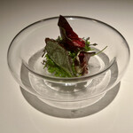 レストラン オオツ - 