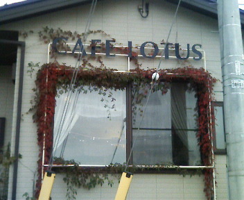 Lotus（ロータス） - 蔵王（カフェ）の写真