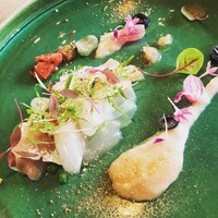 スミレオオサカ - 