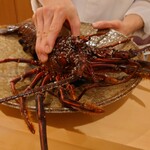 銀座 しのはら - 伊勢海老