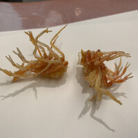 天ぷら すず航 - 海老頭