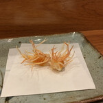 天冨良 よこ田 - 