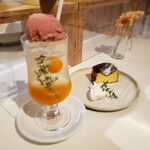 MYOKO COFFEE - ホオズキのクリームソーダ＆バスクチーズケーキ