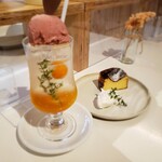 ミョウコウコーヒー - ホオズキのクリームソーダ＆バスクチーズケーキ