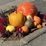 バックシュトゥーベ ツオップ - 