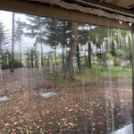 Mori no Naka no Choushoku to Cafe no Mise Cabot Cove - 从露台座位俯瞰花园