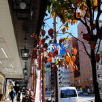 かりい乃 - 陽の当たるものと