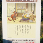 鮨おばな - 踊って綱渡りも出来るなんて、すんごい狸やねん