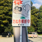 鮨おばな - リアルな狸が出没するようです