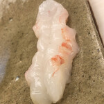 鮨おばな - 増毛産の牡丹海老。大物です。