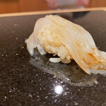 鮨 志の助 - アオリイカ