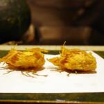 なかがわ 築地 天ぷら 食べログ なかがわ 築地 天ぷら 食べログ