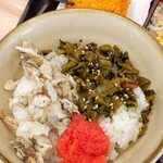 ゆで太郎 - ミニ焼鯖明太高菜丼