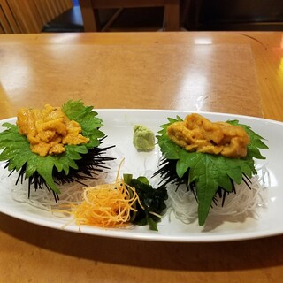 貝鮮料理うらやす_1