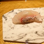 Sushi Shizuku - 